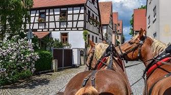'Video thumbnail for Durchs Fränkische Weinland per Pferdekutsche'