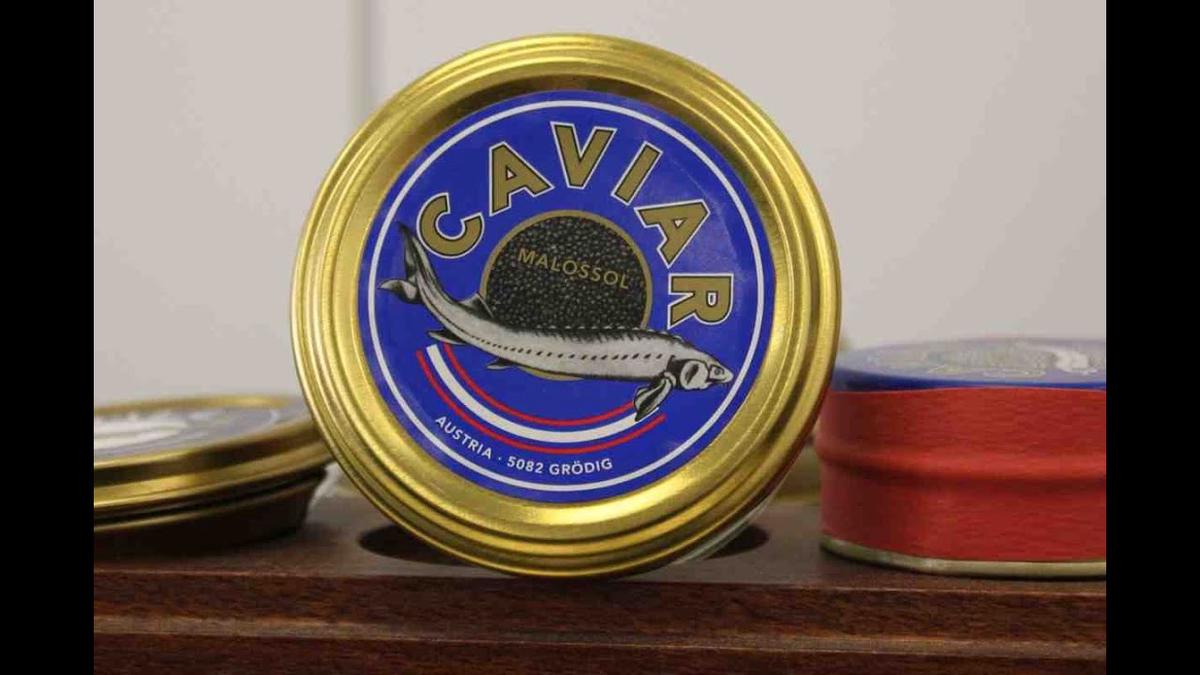 'Video thumbnail for Kaviar von Fischzüchter Grüll in Grödig bei Salzburg'