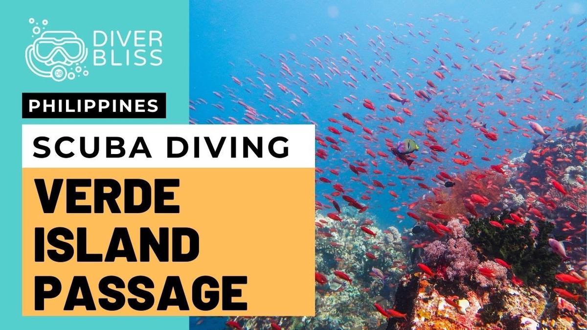 'Video thumbnail for Scuba Diving in Verde Island, Batangas | The Center of Marine Biodiversity in the Philippines'